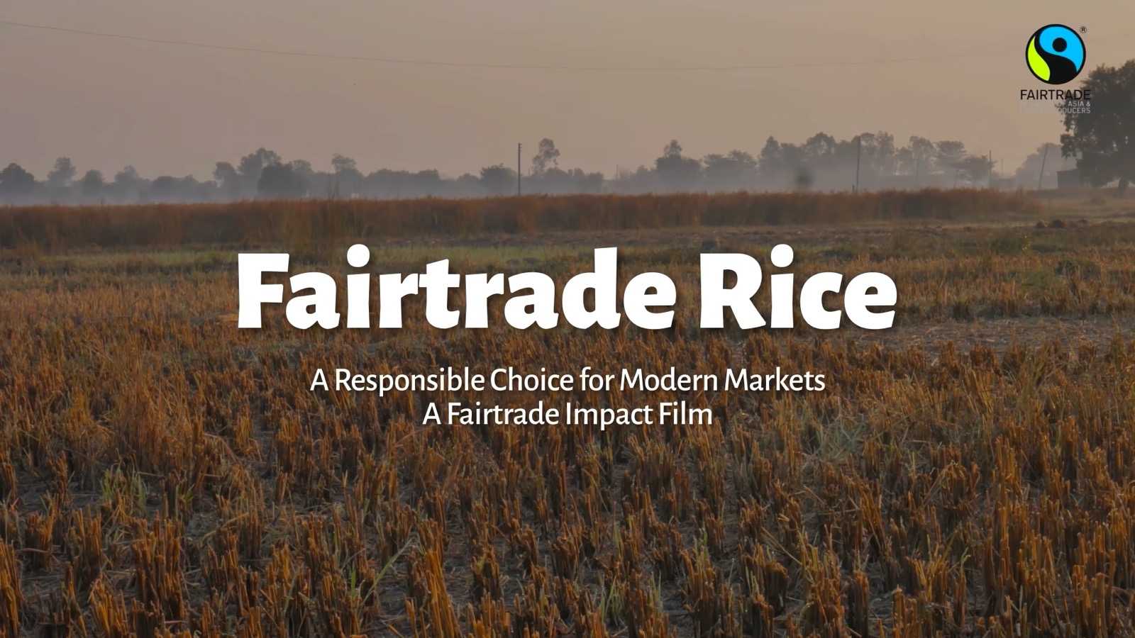 Rice Documentary Film thumbnail